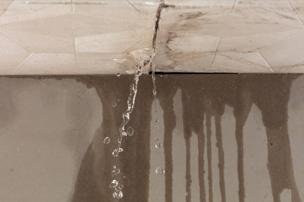 Professional Structural Drying technician working in Holbrook, NY